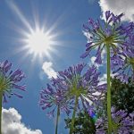 El tiempo en Extremadura para hoy viernes, 5 de junio de 2026