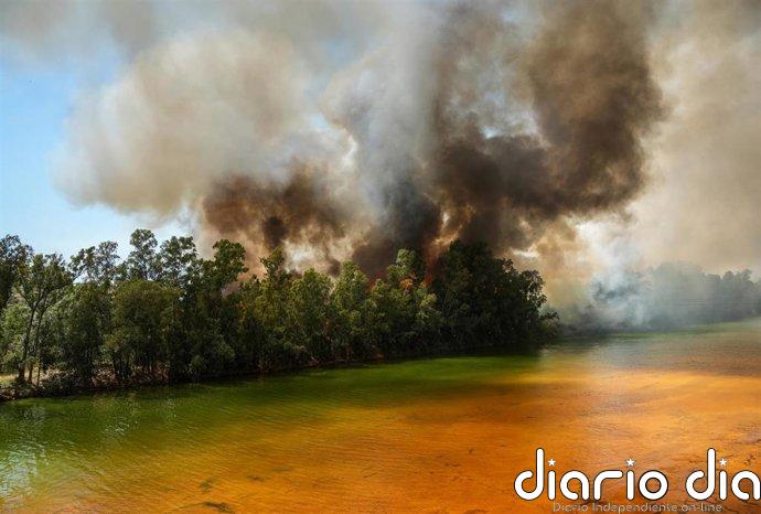 Elevado a nivel 2 el Plan de Emergencia por el incendio de Castillejos con la incorporación de la UME y 100 desalojados