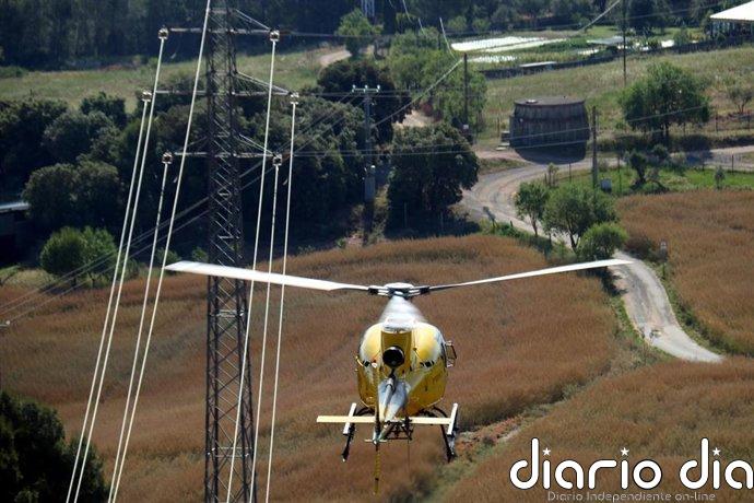 Endesa destina 105 millones, un 36% más, a la protección forestal y el mantenimiento de la red este verano