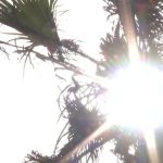 España ya está inmersa en la primera ola de calor del verano