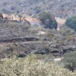 Estabilizado el incendio de Castillejos (Huelva), con regreso de los evacuados y bajada a nivel 1 el Plan de Emergencia