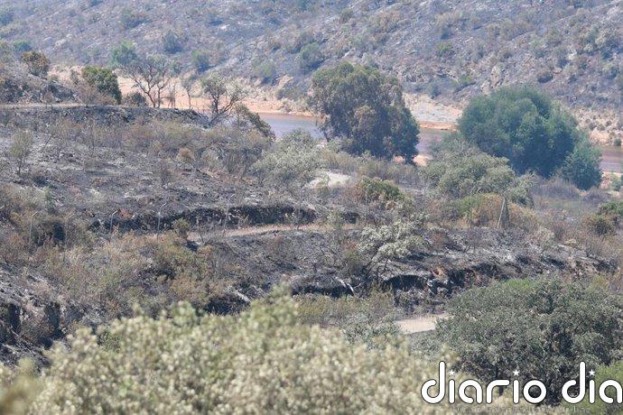 Estabilizado el incendio de Castillejos (Huelva), con regreso de los evacuados y bajada a nivel 1 el Plan de Emergencia