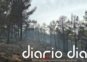 Estabilizado el incendio de vegetación forestal de Salàs del Pallars y Talarn (Lleida)