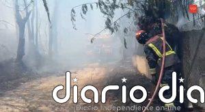 Estabilizado un incendio de vegetación en Villaviciosa que obliga a confinar a algunos vecinos