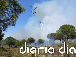 Extinguido el incendio de Lepe (Huelva) que obligó a desalojar a 115 menores de un camping