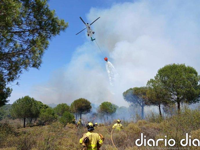 Extinguido el incendio de Lepe (Huelva) que obligó a desalojar a 115 menores de un camping