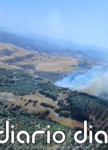 Extinguido el incendio forestal declarado en Antequera