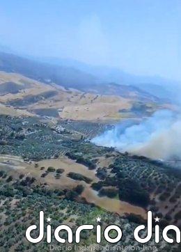 Extinguido el incendio forestal declarado en Antequera