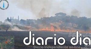 Extinguido el incendio forestal en El Pedroso (Sevilla) que obligó a cortar la carretera A-432