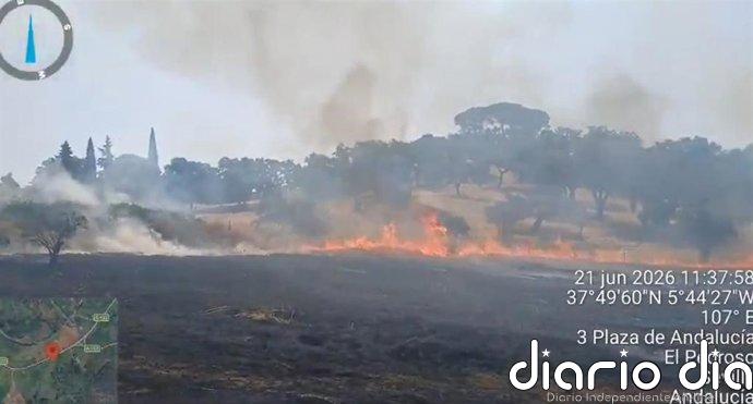 Extinguido el incendio forestal en El Pedroso (Sevilla) que obligó a cortar la carretera A-432