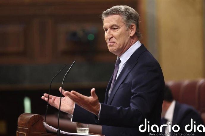 Feijóo asegura que no "amnistiaría" al Gobierno de Sánchez: "Abriré ventanas, levantaré alfombras y abriré cajones"