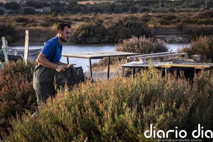 Fundación Unicaja y Estero Natural impulsan la restauración ambiental de los esteros de la Salina de Belén en Cádiz