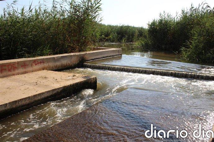 Gobierno regional pide "rigor científico y transparencia" antes de extraer conclusiones sobre el acuífero del Mar Menor