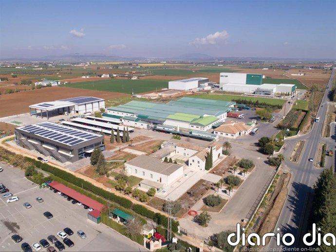Grupo Dcoop cierra 2025 con facturación consolidada de 1.421 millones, un 8% menos por bajada de cotizaciones
