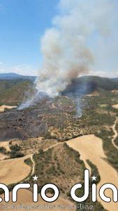 INFOAR trabaja en la extinción de un incendio en una zona agrícola y forestal de Hoz y Costean (Huesca)