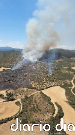 INFOAR trabaja en la extinción de un incendio en una zona agrícola y forestal de Hoz y Costean (Huesca)
