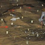 Investigadores demuestran que el Homo erectus usó el fuego de forma oportunista y recurrente antes de lo que se pensaba