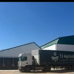 La cebolla manchega de TJ Agricultura se abre paso en el mundo y reparte sus 30.000 toneladas anuales por 30 países
