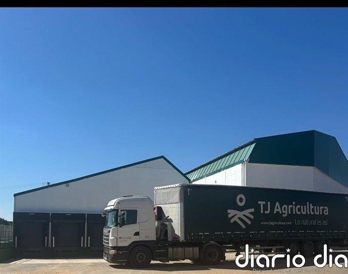 La cebolla manchega de TJ Agricultura se abre paso en el mundo y reparte sus 30.000 toneladas anuales por 30 países
