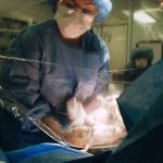 La fotógrafa Talia Chetrit llega individualmente a España por primera vez con PHotoESPAÑA y la muestra 'Bunny'