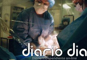 La fotógrafa Talia Chetrit llega individualmente a España por primera vez con PHotoESPAÑA y la muestra 'Bunny'