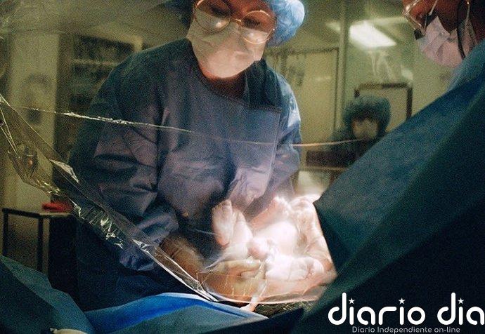 La fotógrafa Talia Chetrit llega individualmente a España por primera vez con PHotoESPAÑA y la muestra 'Bunny'