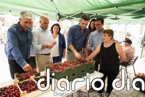 La I Fiesta de la Cereza celebra las raíces agrícolas de Bayárcal