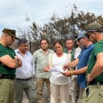 La Junta pide prudencia tras el incendio de Doñana:"Hay zonas no afectadas que permitirán una regeneración natural"