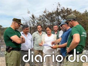 La Junta pide prudencia tras el incendio de Doñana:"Hay zonas no afectadas que permitirán una regeneración natural"