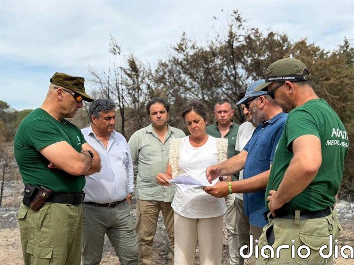 La Junta pide prudencia tras el incendio de Doñana:"Hay zonas no afectadas que permitirán una regeneración natural"