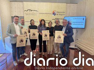 La Orquesta Sinfónica Ciudad de Segovia llevará este mes música de cine a Cuéllar, El Espinar y Turégano