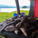 La pesca salvadoreña navega entre la contaminación y el abandono