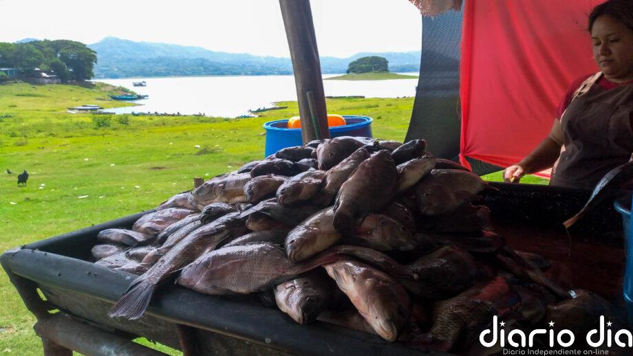 La pesca salvadoreña navega entre la contaminación y el abandono