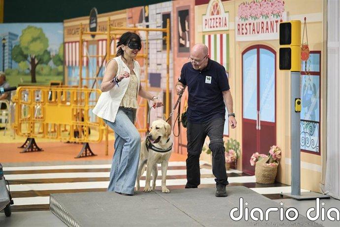 La Rioja conoce la labor de los perros guía de la ONCE