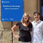 Las alteraciones neuroinmunitarias podrían ser "clave" en la fibromialgia, según un estudio