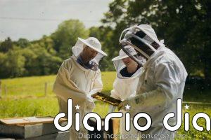 LG logra repoblar 14,4 millones de abejas y plantar 100.000 ejemplares de posidonia gracias a sus proyectos ambientales