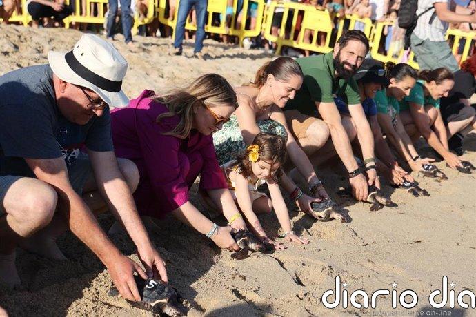 Liberan 39 tortugas marinas en la playa de Can Pere Antoni de Palma