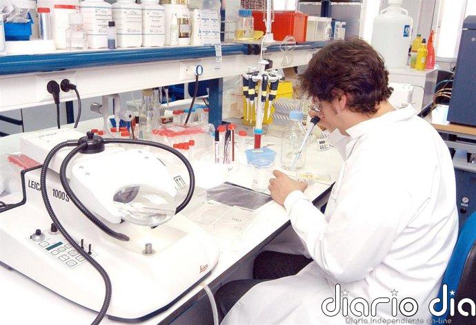 Los 27 piden simplificar comercialización de microorganismos genéticamente modificados en nueva ley UE de biotecnología