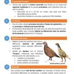 Los cazadores inician una nueva campaña de censos de bandos de perdiz para evaluar el éxito reproductor de la especie