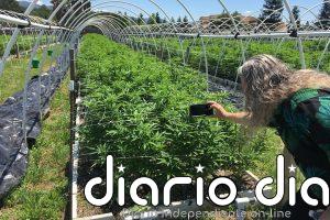 Los mercados mundiales de drogas se transforman rápidamente