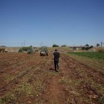 Los Veintisiete dan luz verde a ayudas para agricultores por el alza del precio de los fertilizantes
