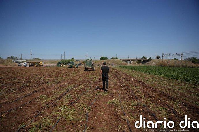 Los Veintisiete dan luz verde a ayudas para agricultores por el alza del precio de los fertilizantes