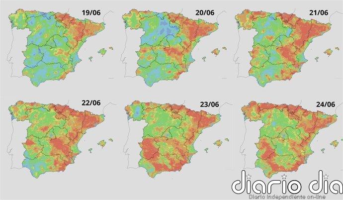 MAPA | El riesgo de incendio durante la ola de calor, municipio a municipio