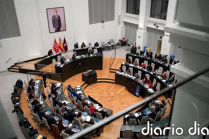 Más Madrid plantea que el Pleno de Cibeles avale la Llave de Oro y la Medalla de Visitante Ilustre