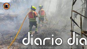 Medios aéreos y terrestres combaten un incendio de vegetación declarado en Estivella