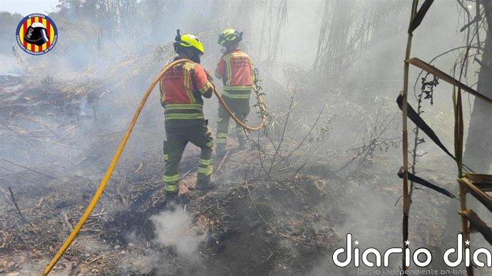 Medios aéreos y terrestres combaten un incendio de vegetación declarado en Estivella