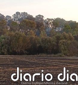 Medios del Ibanat siguen en la zona del incendio, ya estable, de Can Milec, en Muro