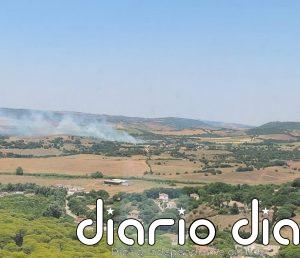 Movilizados cuatro medios aéreos por un incendio en el paraje Paternilla en Barbate (Cádiz)