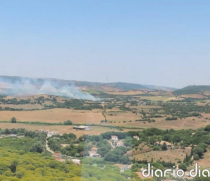 Movilizados cuatro medios aéreos por un incendio en el paraje Paternilla en Barbate (Cádiz)