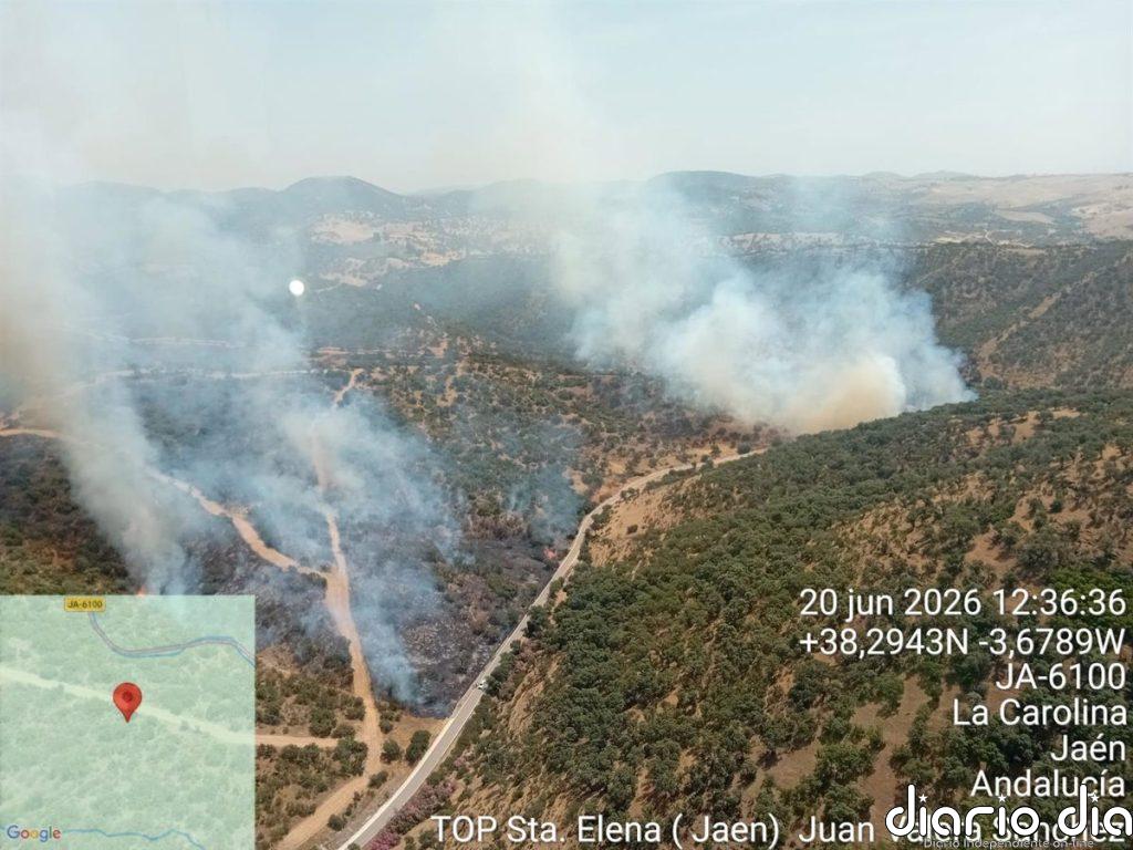 Movilizados más de 15 de efectivos para extinguir un incendio forestal declarado en La Carolina (Jaén)